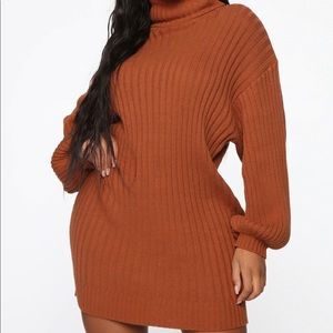Turtle Neck Sweater Dress